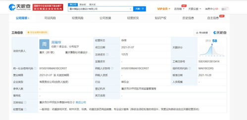 重慶軟件開(kāi)發(fā) 西部創(chuàng)新高地與產(chǎn)業(yè)轉(zhuǎn)型升級(jí)的引擎